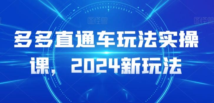 多多直通车玩法实操课，2024新玩法-创纪