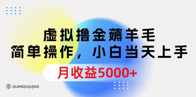 (9864期)虚拟撸金薅羊毛，简单操作，小白当天上手，月收益5000+-创纪