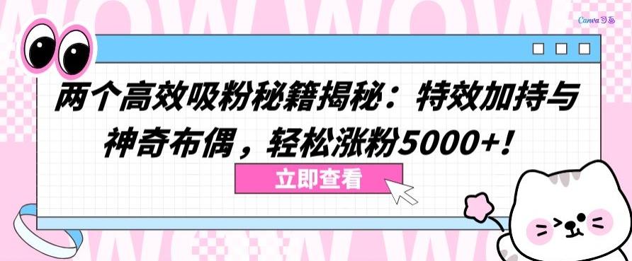 两个高效吸粉秘籍揭秘：特效加持与神奇布偶，轻松涨粉5000+【揭秘】-创纪