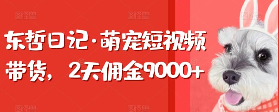 东哲日记·萌宠短视频带货，2天佣金9000+-创纪