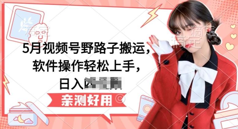 5月视频号野路子搬运，软件操作轻松上手，日入三位数【揭秘】-创纪