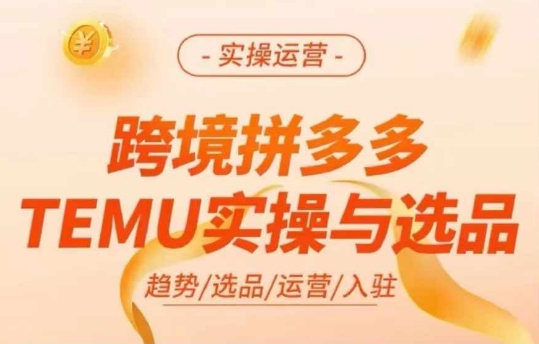 跨境拼多多TEMU实操与选品，多多temu跨境选品运营实操-创纪