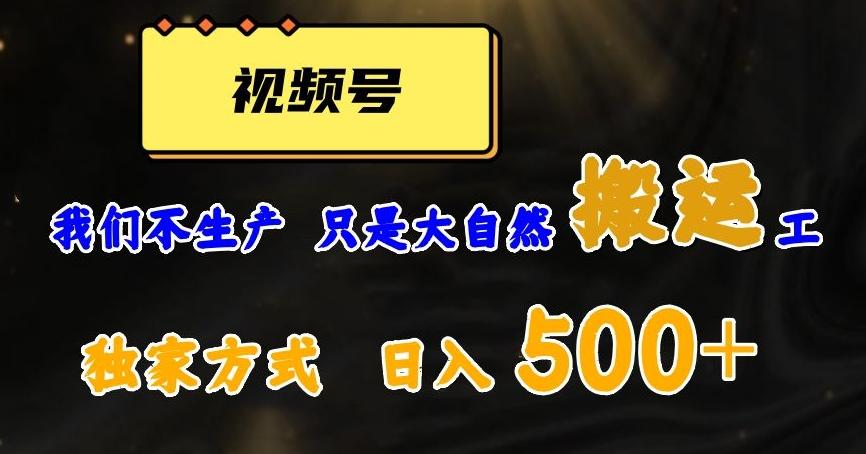 视频号轻松搬运日赚500+，一个1分钟1条原创视频【揭秘】-创纪