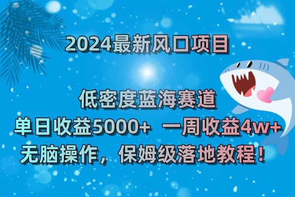(8545期)2024最新风口项目 低密度蓝海赛道，日收益5000+周收益4w+ 无脑操作，保…-创纪