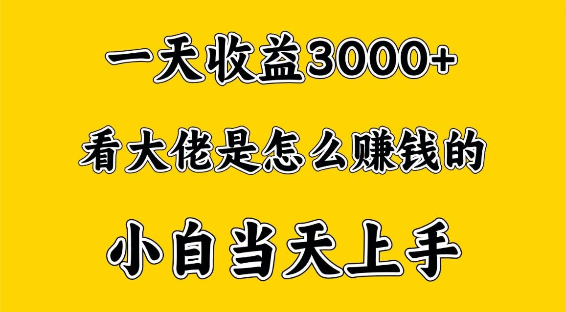 一天赚3000多，大佬是这样赚到钱的，小白当天上手，穷人翻身项目-创纪