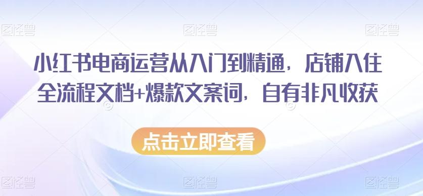 小红书电商运营从入门到精通，店铺入住全流程文档+爆款文案词，自有非凡收获-创纪