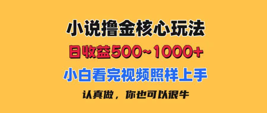 小说撸金核心玩法，日收益500-1000+，小白看完照样上手，0成本有手就行-创纪
