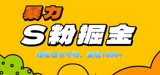 单人单机日引千粉，变现1k+，S粉流量掘金计划攻略【揭秘】-创纪