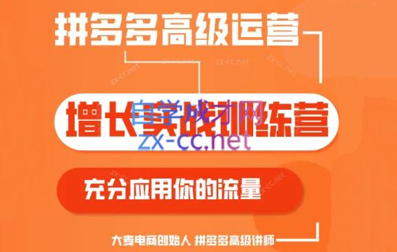 大麦老师·拼多多单品爆款打造课程(更新6月)-创纪