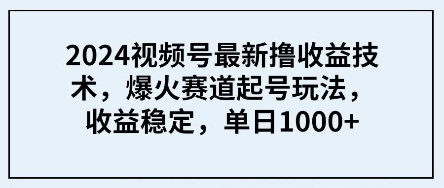 (9651期) 2024视频号最新撸收益技术，爆火赛道起号玩法，收益稳定，单日1000+-创纪