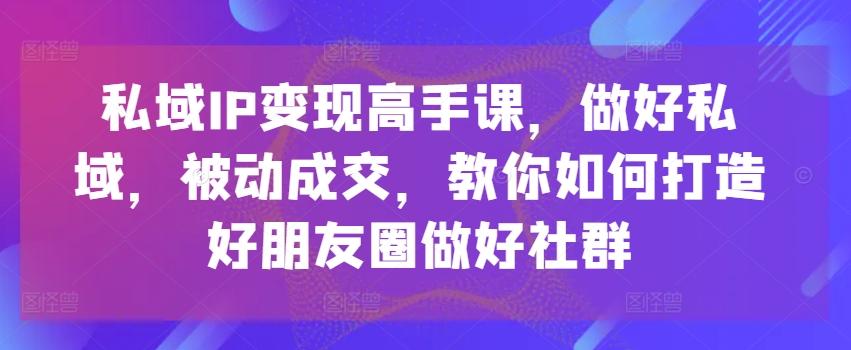 私域IP变现高手课,做好私域,被动成交,教你如何打造好朋友圈做好社群
