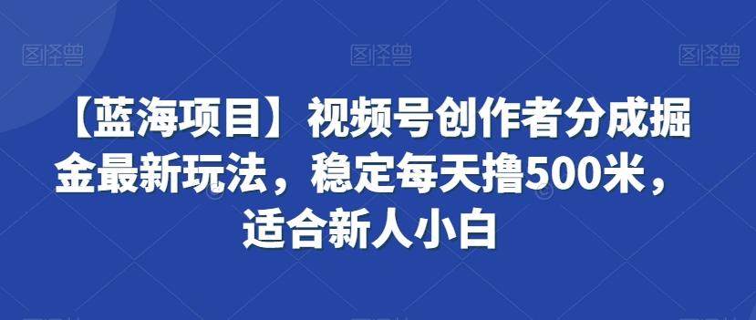 【蓝海项目】视频号创作者分成掘金最新玩法，稳定每天撸500米，适合新人小白【揭秘】-创纪