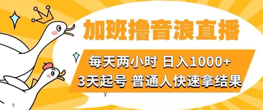加班撸音浪直播，每天两小时，日入1000+，直播话术才3句，3天起号，普通人快速拿结果【揭秘】-创纪