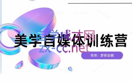 安娜·美学自媒体IP系统课-创纪