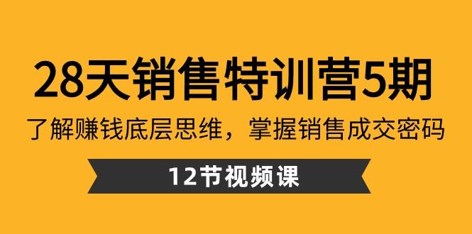 28天销售特训营5期：了解赚钱底层思维，掌握销售成交密码（12节课）-创纪