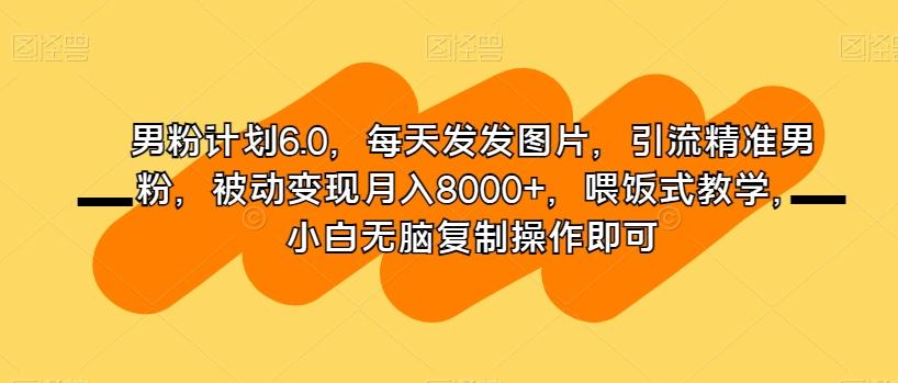 男粉计划6.0，每天发发图片，引流精准男粉，被动变现月入8000+，喂饭式教学，小白无脑复制操作即可-创纪