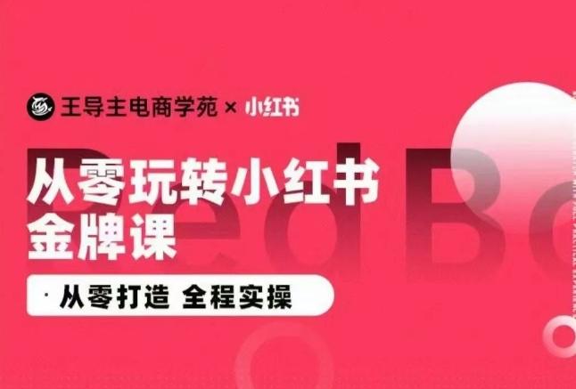 王导主·小红书电商运营实操课，​从零打造  全程实操-创纪