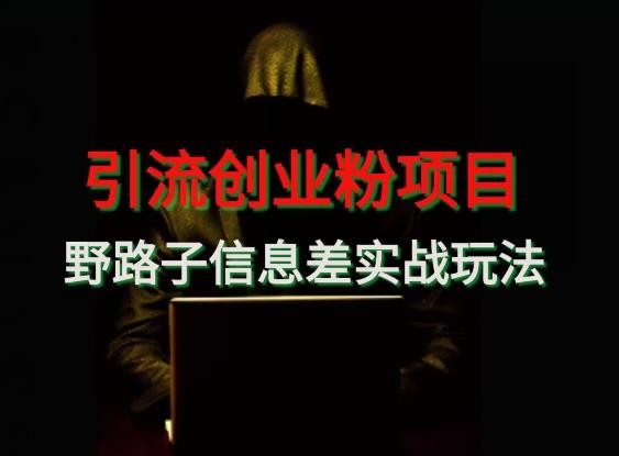 【引流创业粉】野路子信息差玩法实战教学-创纪