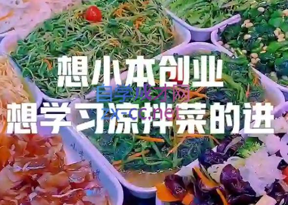 李记·精品凉拌菜系列热卤系列教程-创纪