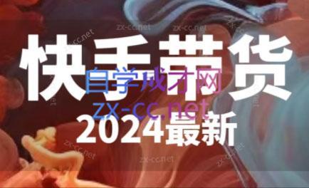 快手带货(2024最新)-创纪