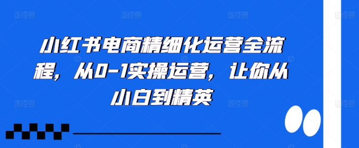 小红书电商精细化运营全流程，从0-1实操运营，让你从小白到精英-创纪