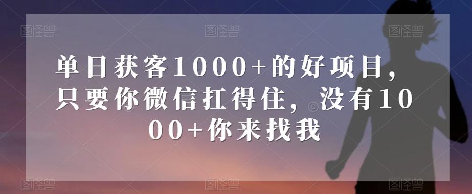 单日获客1000+的好项目，只要你微信扛得住，没有1000+你来找我【揭秘】-创纪