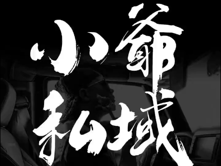 小爷·私域项目操盘手-创纪