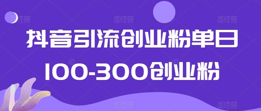 抖音引流创业粉单日100-300创业粉【揭秘】-创纪