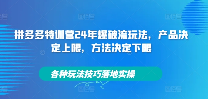 拼多多特训营24年爆破流玩法，产品决定上限，方法决定下限，各种玩法技巧落地实操-创纪