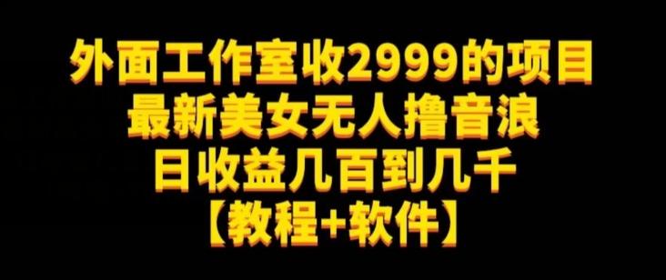 外面工作室收2999的项目最新美女无人撸音浪日收益几百到几千【教程+软件】（仅揭秘）-创纪