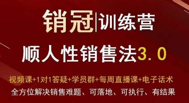 爆款！销冠训练营3.0之顺人性销售法，全方位解决销售难题、可落地、可执行、有结果-创纪