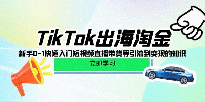 (10035期)TikTok-出海淘金，新手0-1快速入门短视频直播带货等引流到变现的知识-创纪