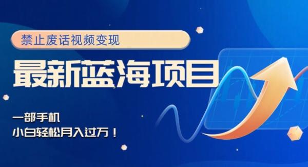 最新蓝海项目，靠禁止废话视频变现，一部手机，小白轻松月入过万！-创纪