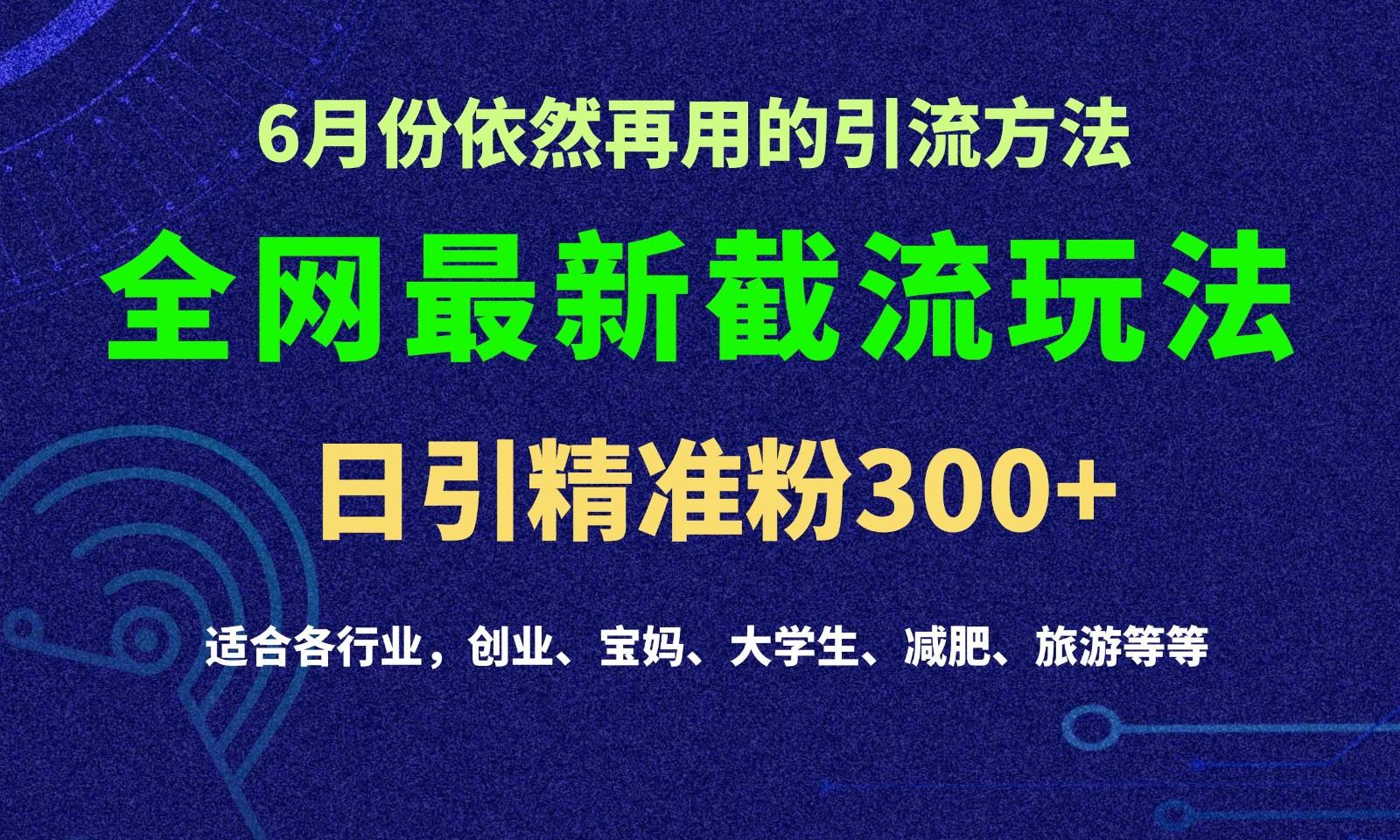 2024全网最新截留玩法,每日引流突破300+-创纪