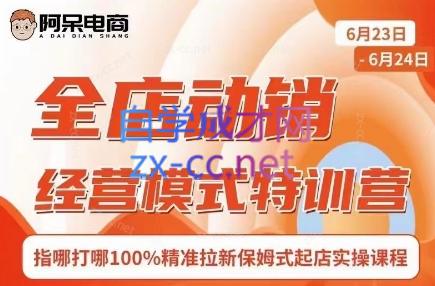 阿呆电商·全店动销经营模式特训营(线下录音+思维导图)-创纪