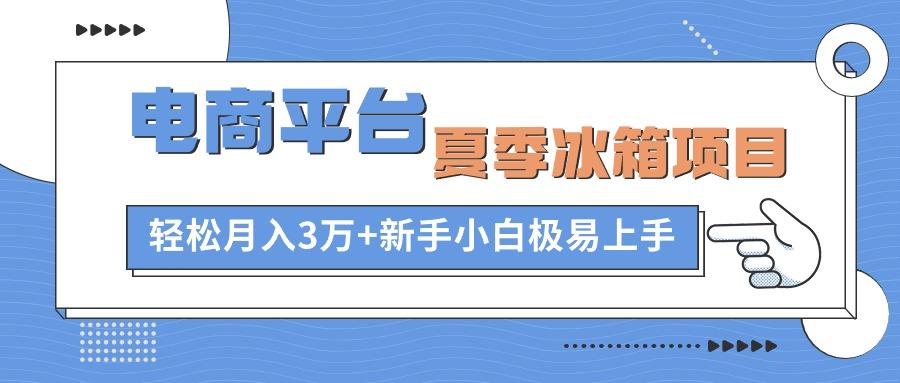 电商平台夏季冰箱项目，轻松月入3万+，新手小白极易上手-创纪