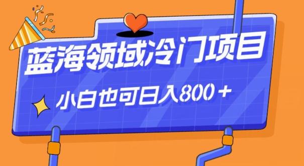 蓝海领域冷门赛道，一单39.9，日入800＋-创纪
