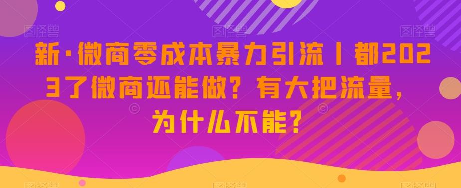 新·微商零成本暴力引流丨都2023了微商还能做？有大把流量，为什么不能？-创纪
