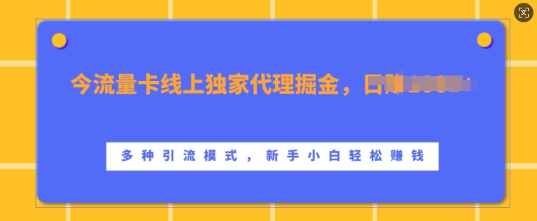 流量卡线上独家代理掘金，日入1k+ ，多种引流模式，新手小白轻松上手【揭秘】-创纪