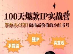 小红书100天爆款IP实战营，带你从0到1做出高价值的小红书号-创纪