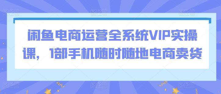 闲鱼电商运营全系统VIP实操课，1部手机随时随地电商卖货-创纪