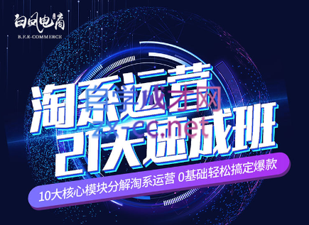 淘系运营21天速成班(更新24年5月)-创纪