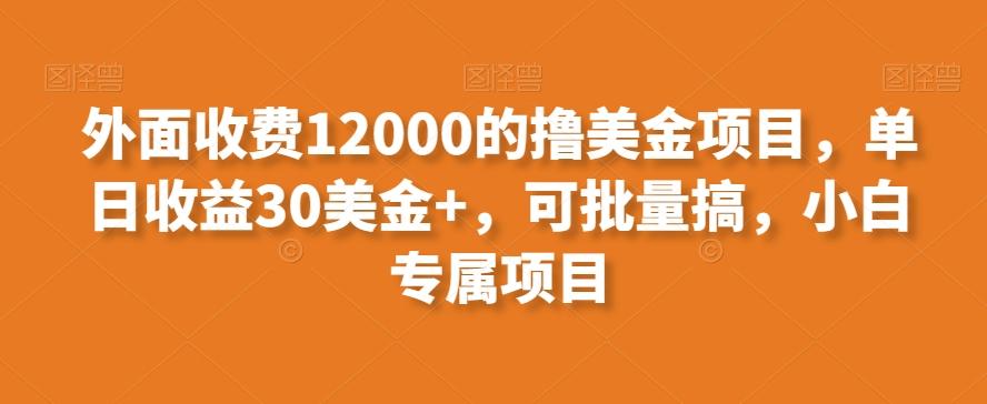外面收费12000的撸美金项目，单日收益30美金+，可批量搞，小白专属项目-创纪