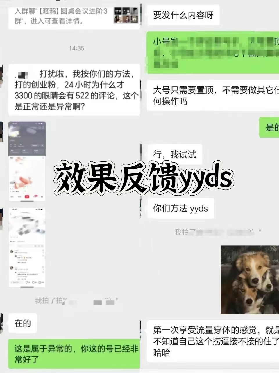 图片[3]-抖音小红书视频号全平台引流打法，全自动引流日引2000+精准客户-创纪