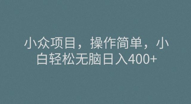 小众项目，操作简单，小白轻松无脑日入400+-创纪