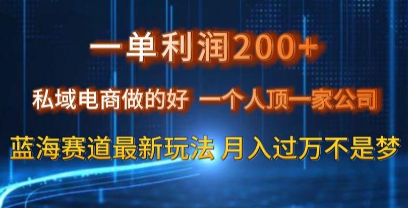 一单利润200私域电商做的好，一个人顶一家公司蓝海赛道最新玩法【揭秘】-创纪