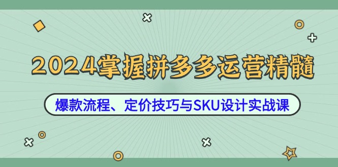 2024掌握拼多多运营精髓：爆款流程、定价技巧与SKU设计实战课-创纪