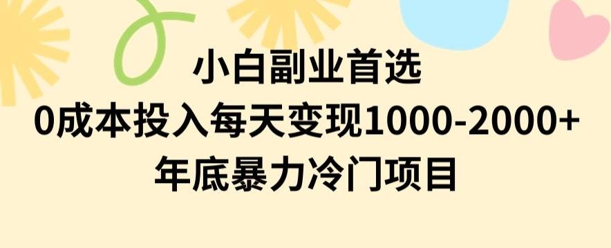 小白副业首选，0成本投入，每天变现1000-2000年底暴力冷门项目【揭秘】-创纪
