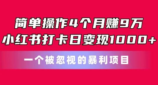 简单操作4个月赚9w，小红书打卡日变现1k，一个被忽视的暴力项目【揭秘】-创纪