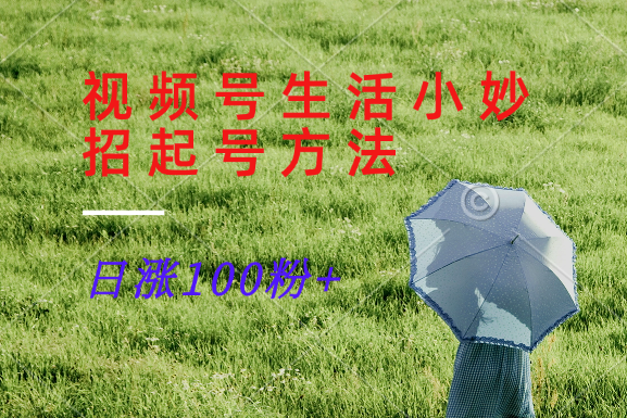 视频号生活小妙招分享赛道， 起号涨粉新方法，日涨100粉-创纪
